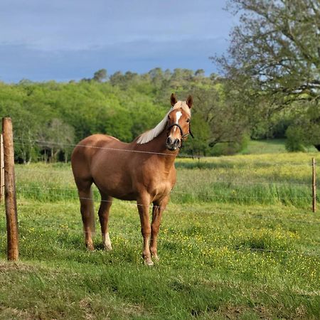 Maison Chaleureuse A La Campagne Payrignac Dış mekan fotoğraf