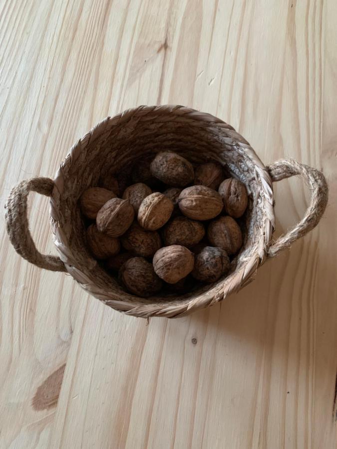 Maison Chaleureuse A La Campagne Payrignac Dış mekan fotoğraf